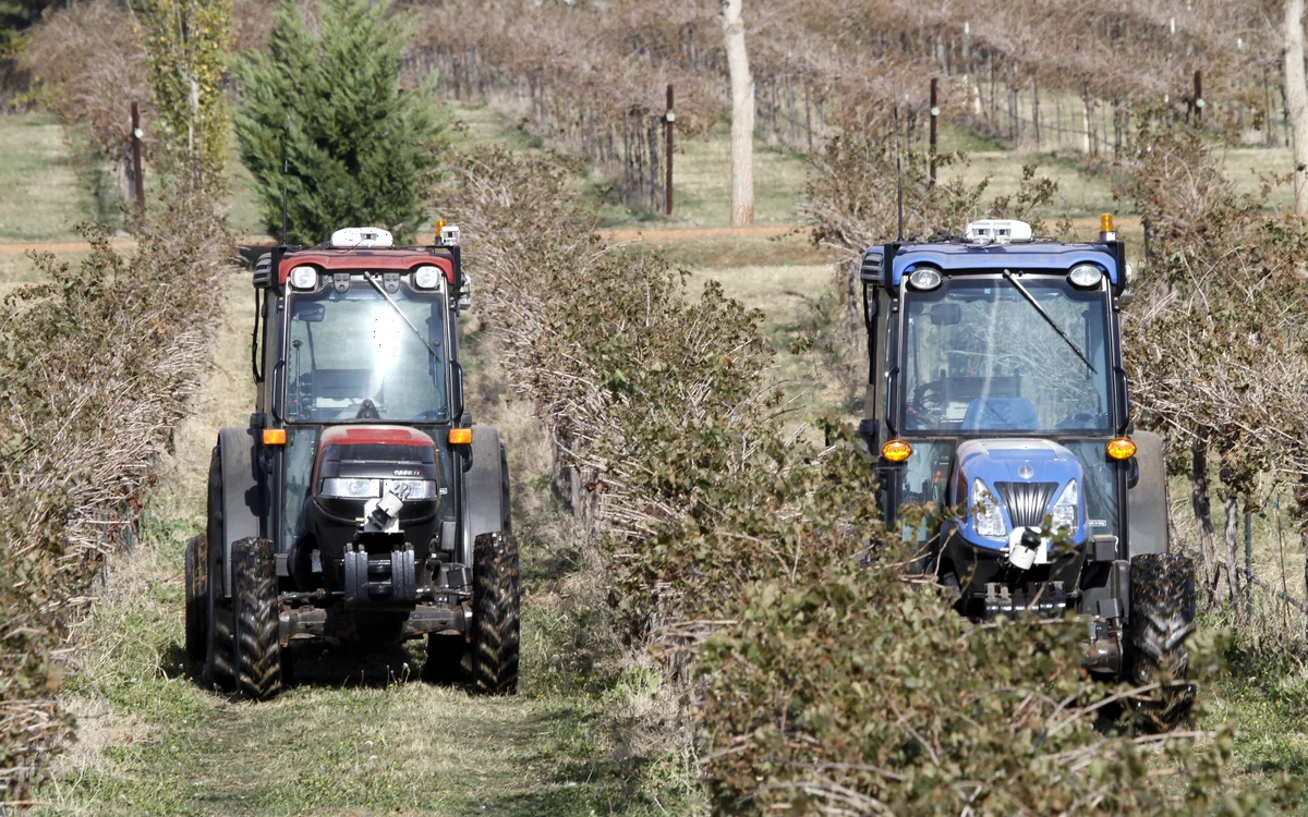 RTK-guided tractors operating between crop rows in a field