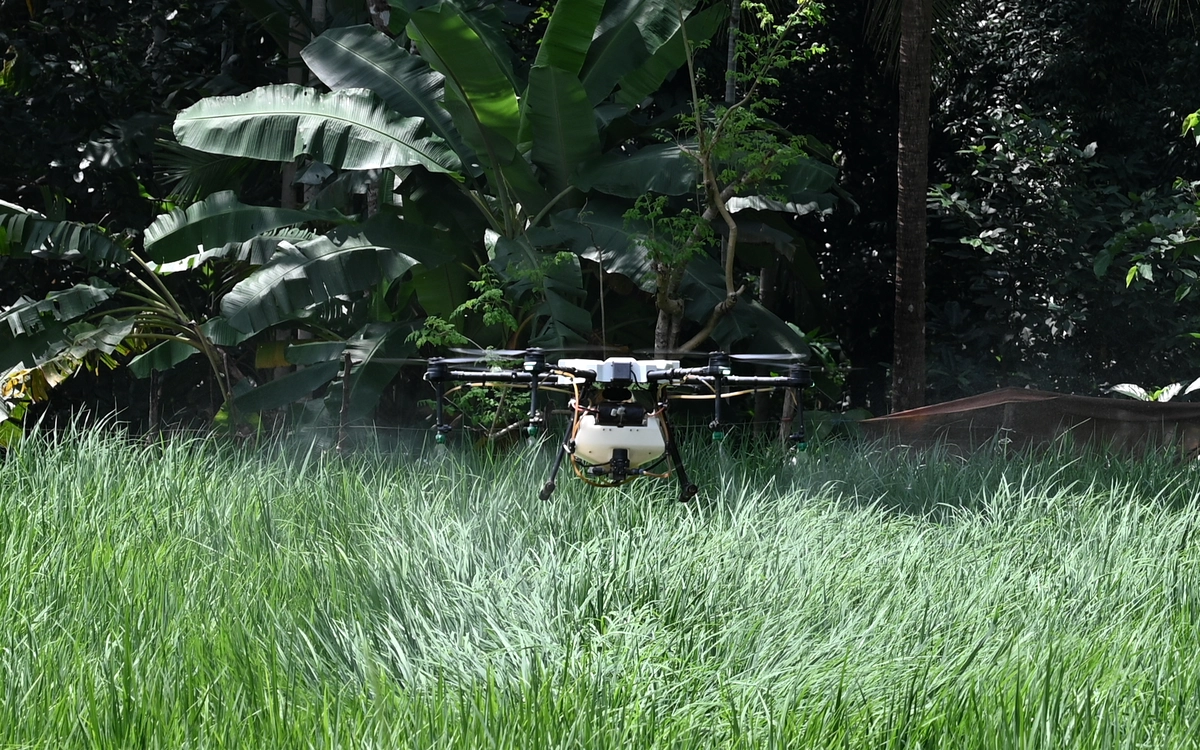 Agricultural spray drone performing a crop protection mission above a field