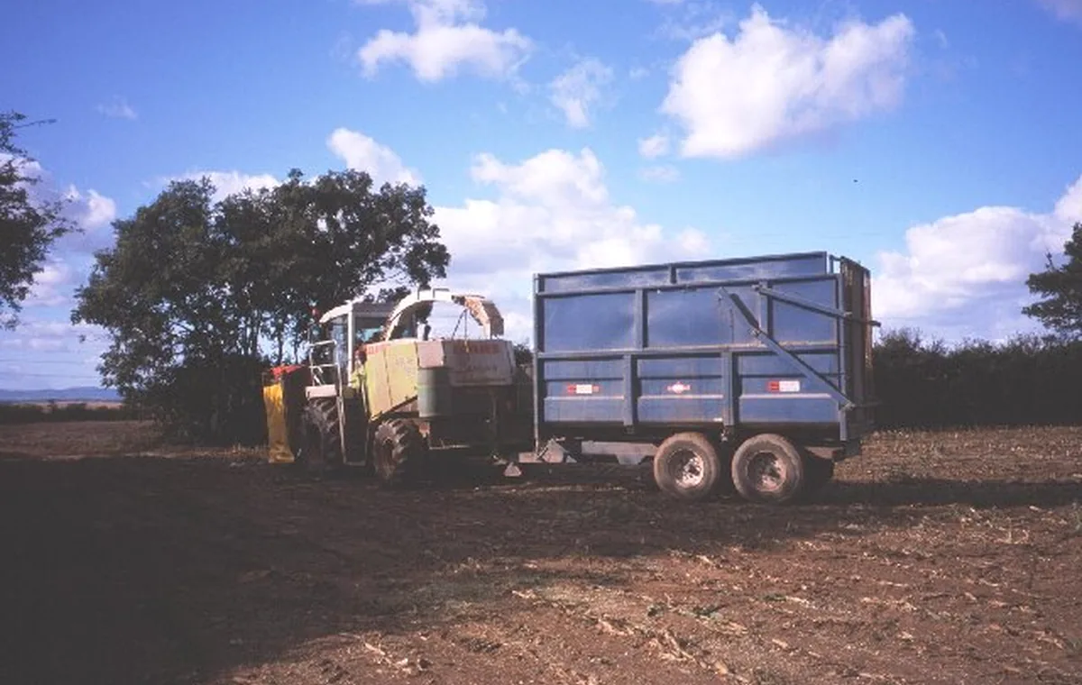 Forage and silage equipment working with transport vehicles