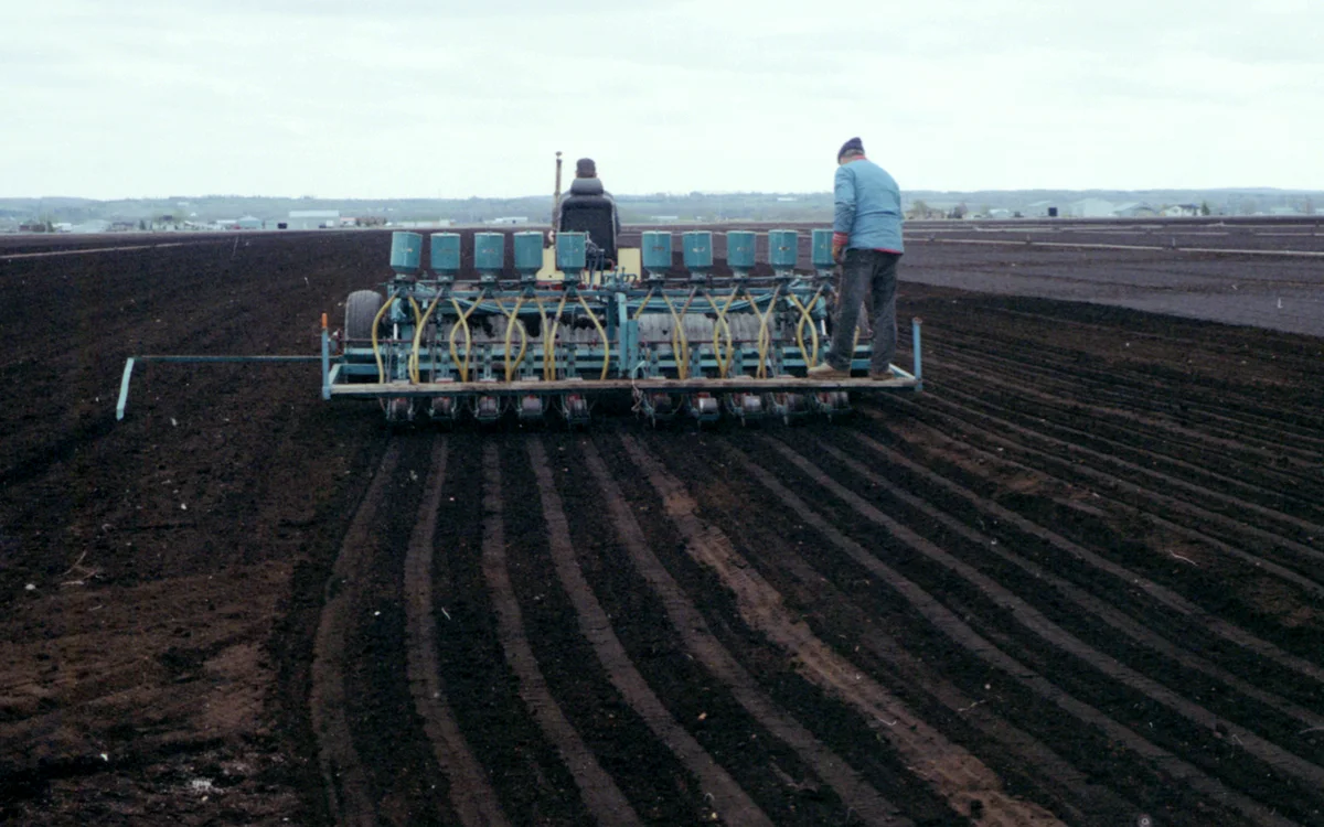 Variable-rate seeding and fertilizer application equipment operating in a prepared field