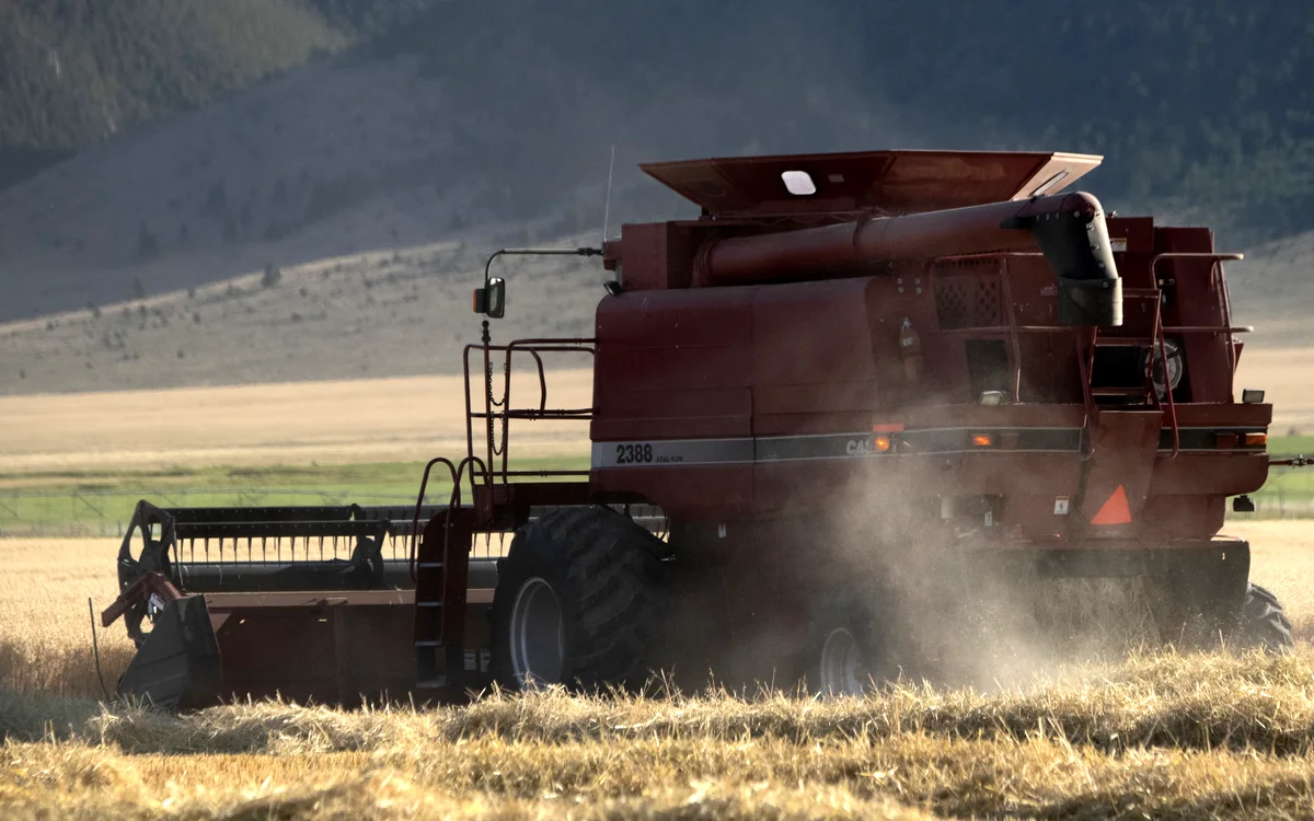 Yield-monitoring combine harvester working in a grain field